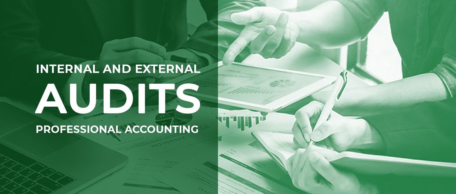 You are currently viewing Internal and External Audits | Professional Accounting