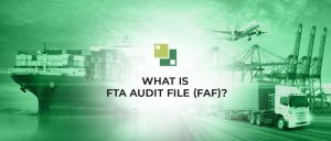 Read more about the article <strong>What is FTA Audit File (FAF)?</strong>